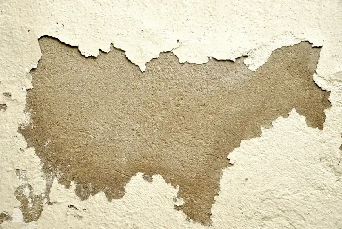 Wall surface bubbling and peeling where water has been absorbed into the board